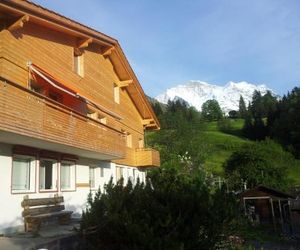 Chalet Viola - Verenas Loft Wengen Switzerland