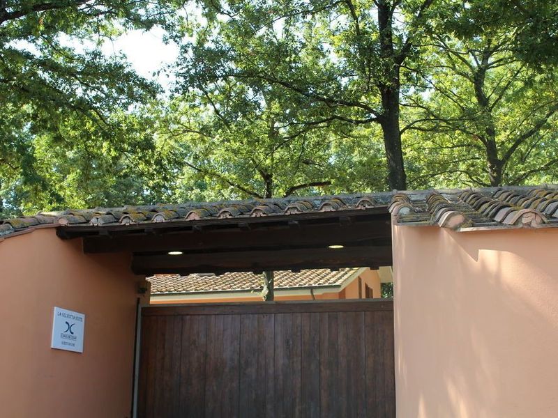 صورة الفندق 9