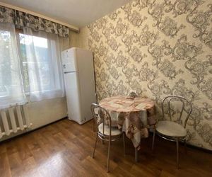 Dekabrist apartment at Ugdanskaya 8 Chita Russia