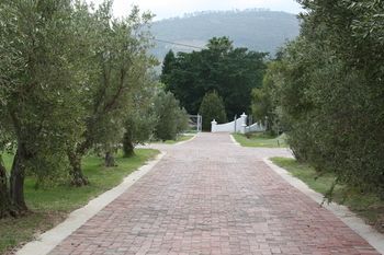 صورة الفندق 23