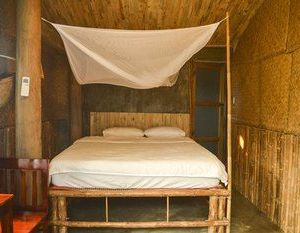 Jungle Boss Homestay Phong Nha Vietnam