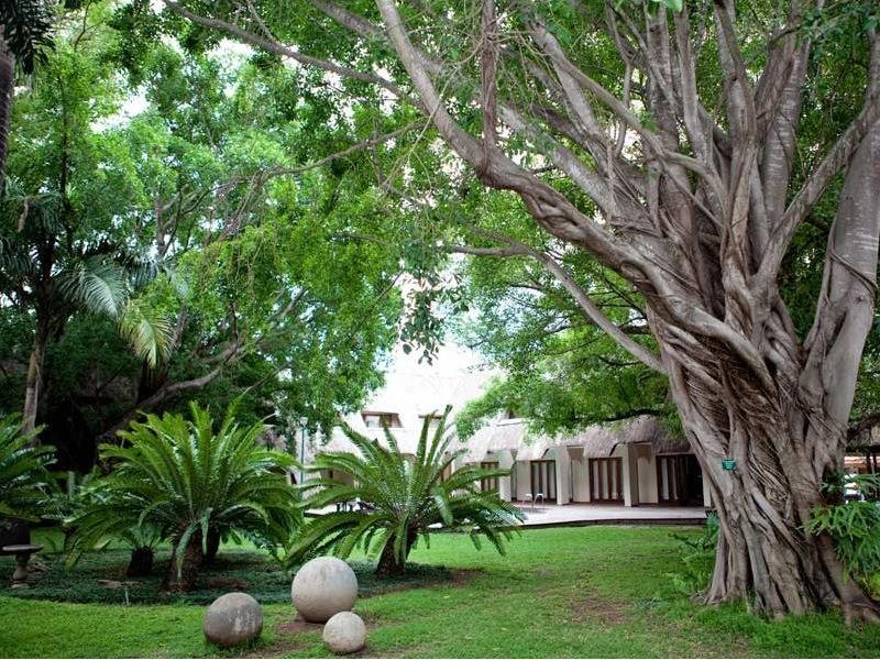صورة الفندق 8