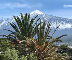 Puertito de San Marcos, Icod Icod De Los Vinos Spain