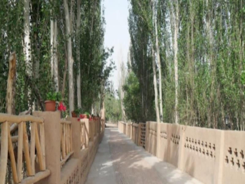 صورة الفندق 19