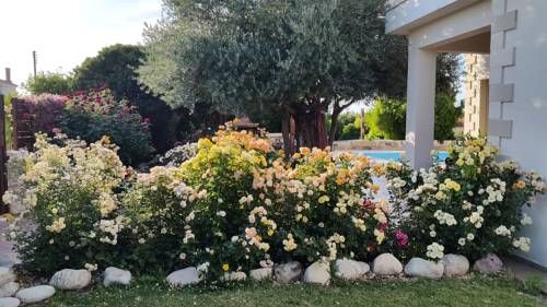 صورة الفندق 14