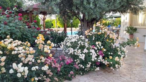 صورة الفندق 15