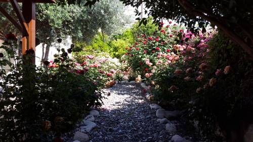 صورة الفندق 16
