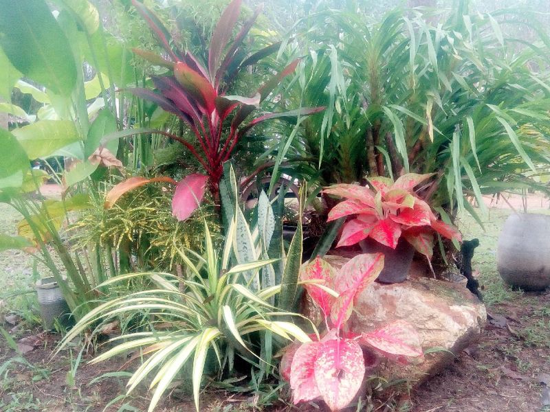 صورة الفندق 18