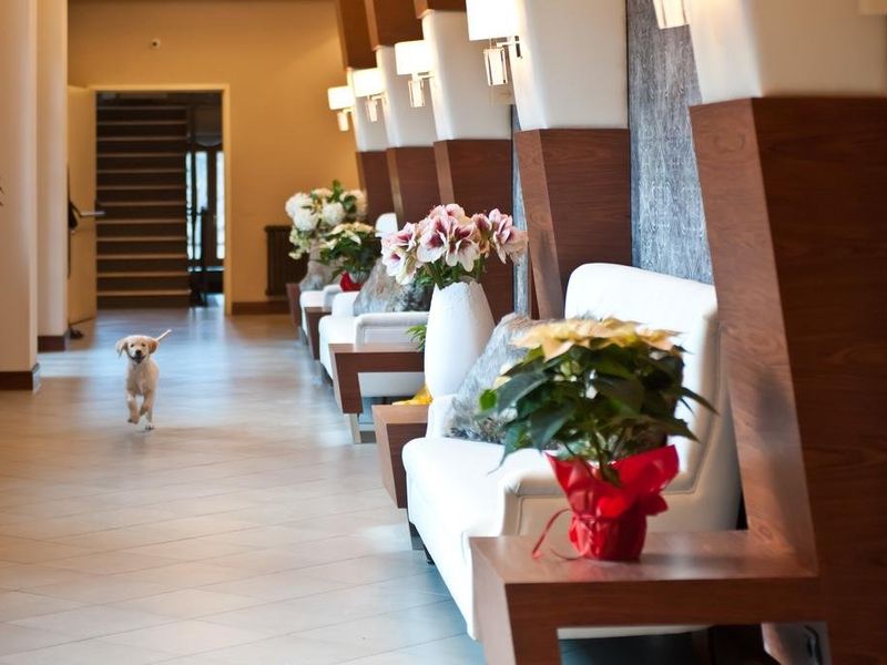 Hotel Photo 16