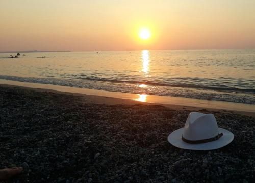 صورة الفندق 2