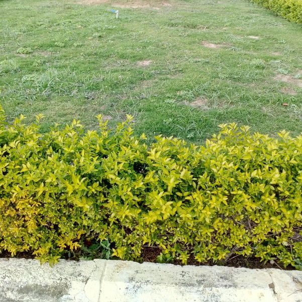 صورة الفندق 21