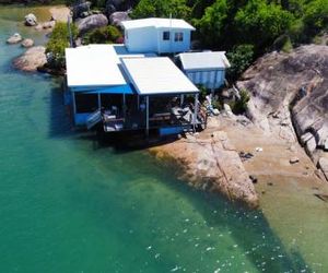 Blue on Cockle Magnetic Island Australia