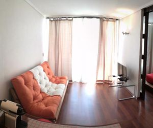 Cozy Bright Apartment Santiago Chile