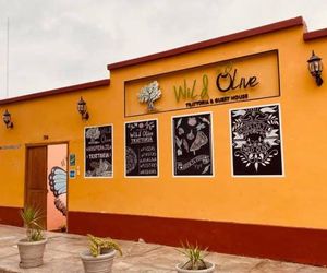 Wild Olive Guest House Ica Peru