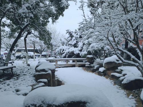 صورة الفندق 21