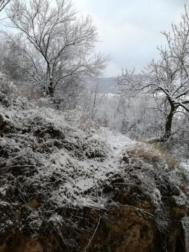 صورة الفندق 5