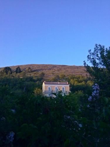 صورة الفندق 6