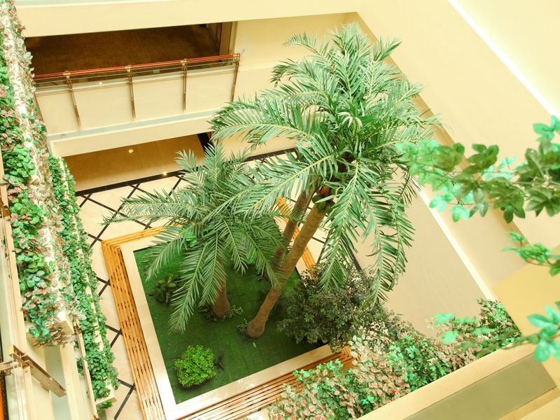 صورة الفندق 22