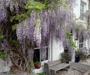 Half Moon House Hay on Wye United Kingdom