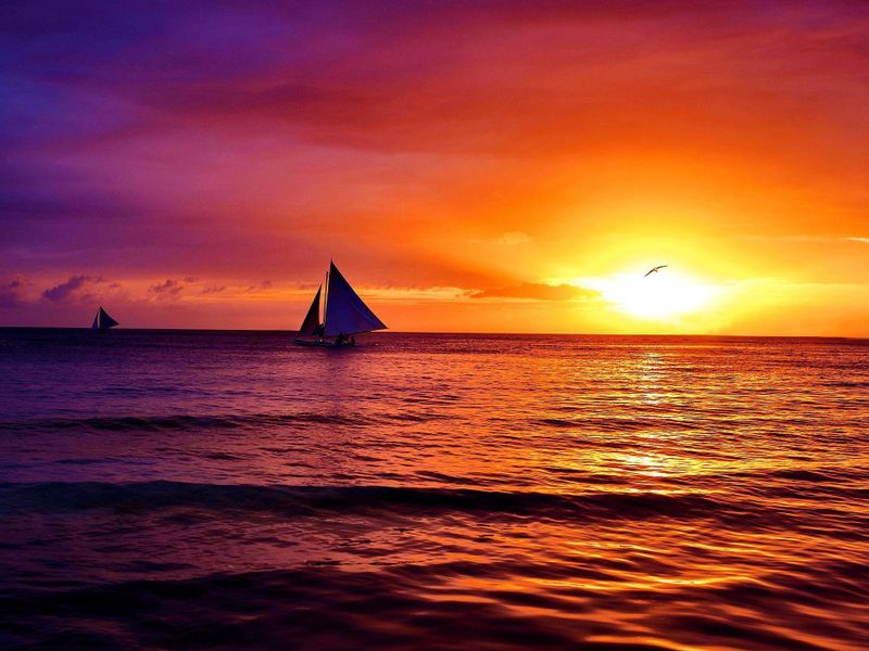 صورة الفندق 24