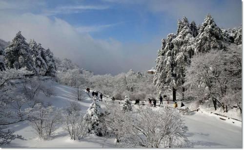 صورة الفندق 22