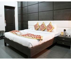 Queens Hotel of India Raipur India