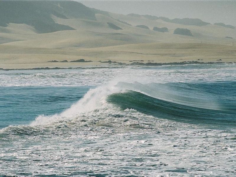 صورة الفندق 13