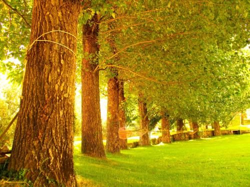 صورة الفندق 16