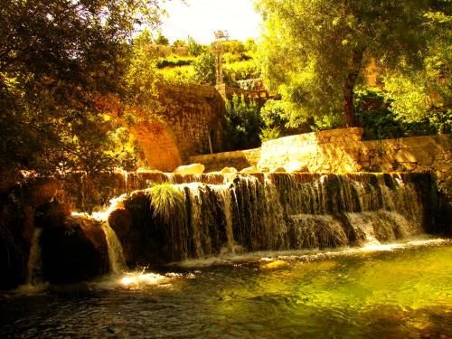صورة الفندق 18