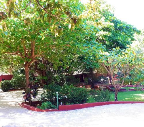 صورة الفندق 18