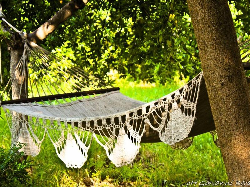صورة الفندق 24