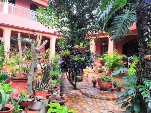 Hotel Photo 15