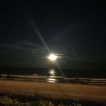 صورة الفندق 2