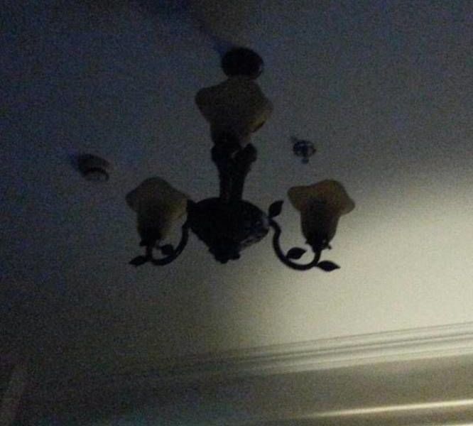 صورة الفندق 21