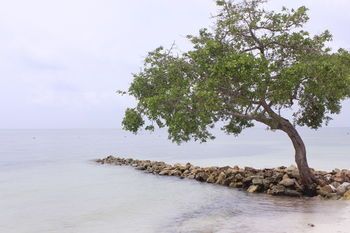 صورة الفندق 22