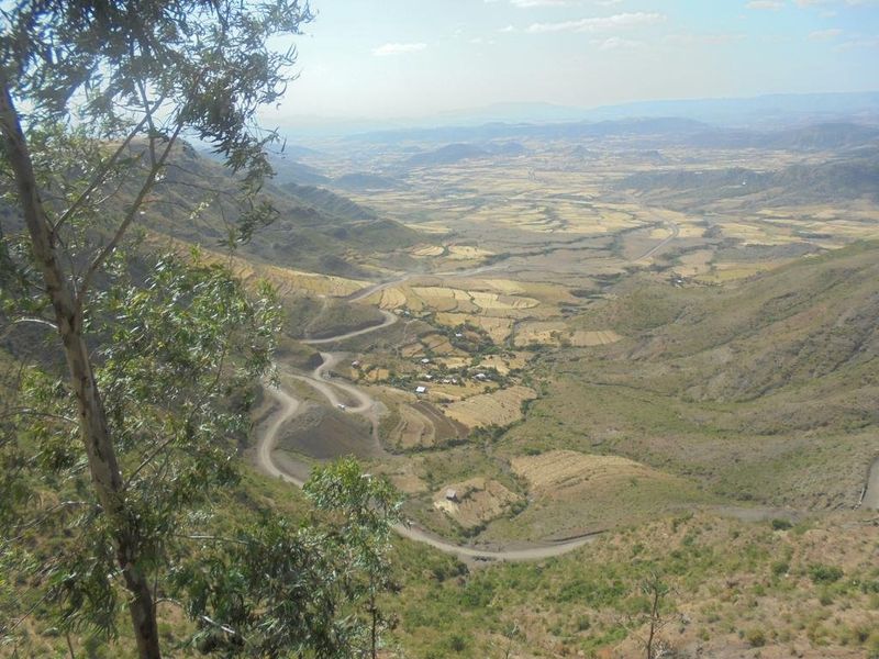 صورة الفندق 22