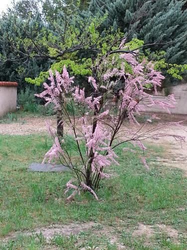 صورة الفندق 6