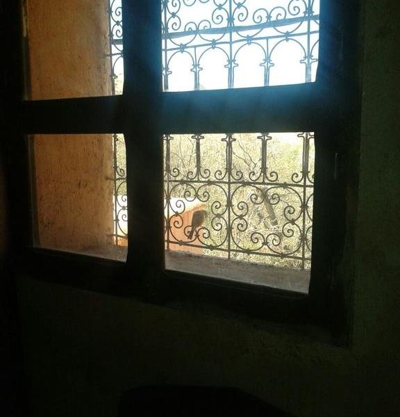 صورة الفندق 19