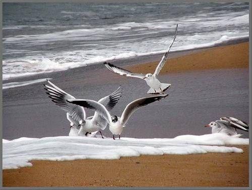 صورة الفندق 20