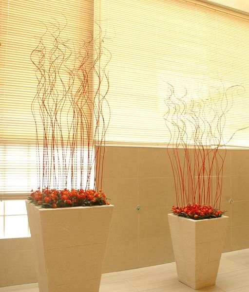 صورة الفندق 20