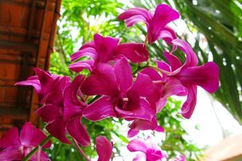 صورة الفندق 13