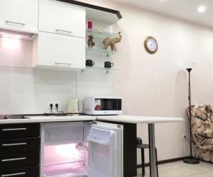 White Elephant Apartment Velikiy Novgorod Russia