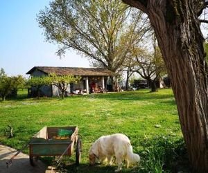 Agriturismo Elianto Ravenna Italy