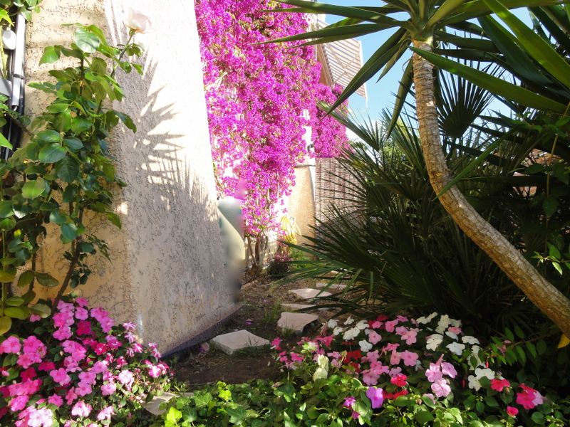 صورة الفندق 21
