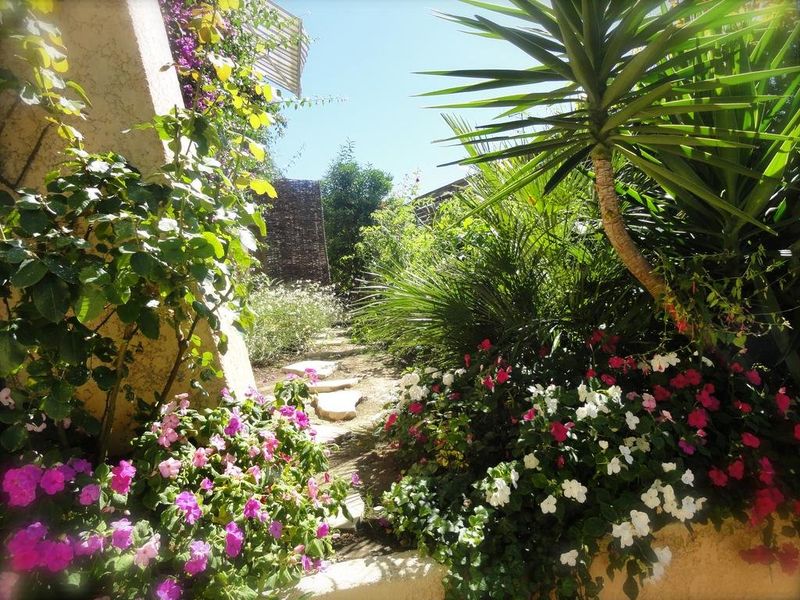 صورة الفندق 22