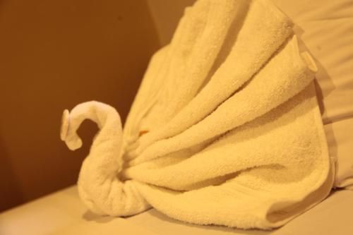 صورة الفندق 20