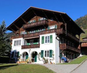 Arnica 1 Chateau-Doex Switzerland