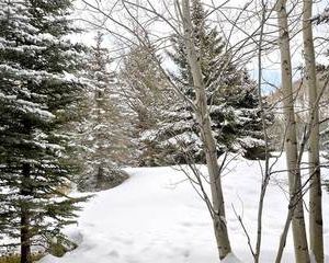 Savoy Villas Vail United States