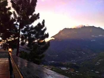 صورة الفندق 21