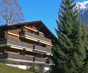 Bodmisunne Grindelwald Switzerland